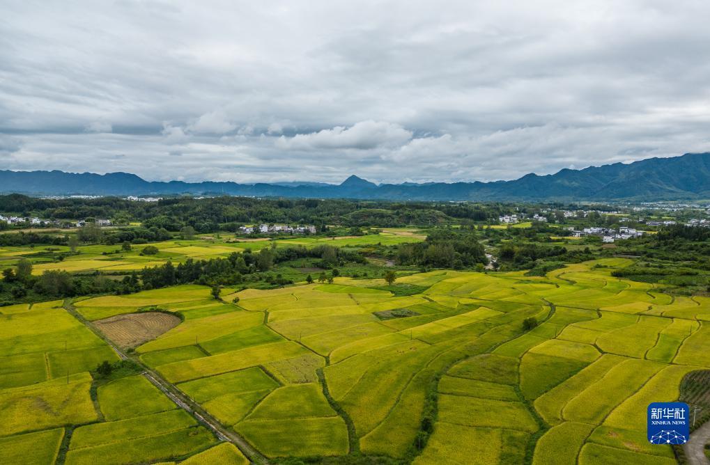 伟德赌场